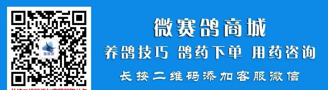 青島到新鄉(xiāng)普通火車票價_新鄉(xiāng)到青島的火車_青島到新鄉(xiāng)火車票