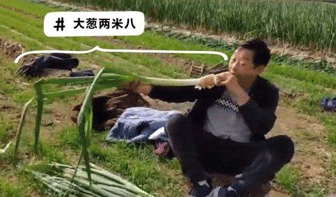 濰坊到臨沂的火車_濰坊到臨沂火車票_濰坊至臨沂火車票價