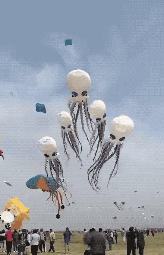 濰坊至臨沂火車票價_濰坊到臨沂火車票_濰坊到臨沂的火車