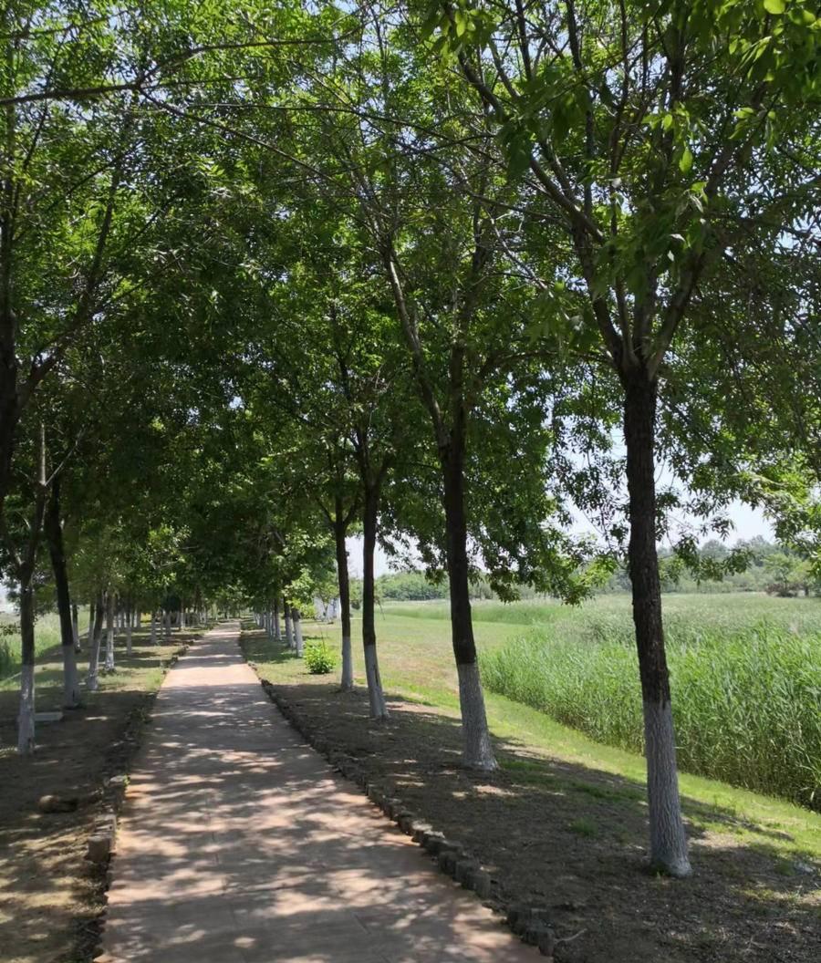 耕好心中那方田，讓生活如詩如畫