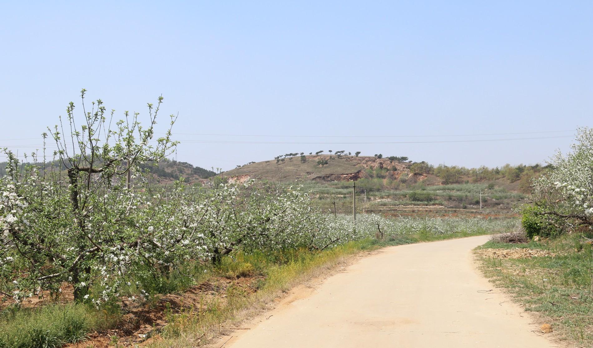 海陽程溝村:一個地處山區的小村落,值得一探究竟