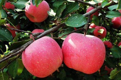 火車站商店營業時間_徐家店火車站_火車站徐店家屬樓在哪