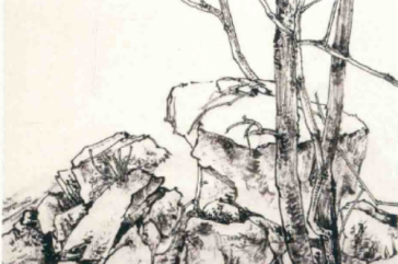 天津到本溪火車(chē)_天津到本溪火車(chē)票_天津至本溪火車(chē)