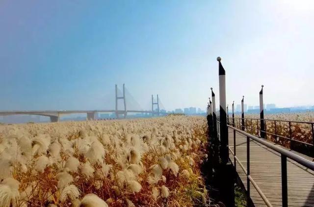 武漢美食攻略：滑坡路、萬松園、臺北路等地的特色小吃推薦