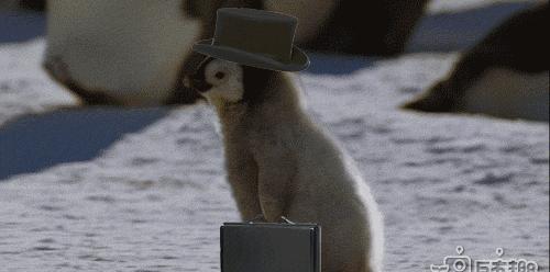 火車吸煙區在哪_火車吸煙區_火車吸煙處照片