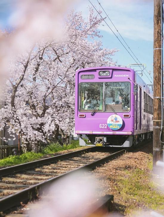 蘭新鐵路：世界最長高鐵，美景不斷的神秘之旅