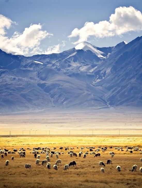 火車坐上鋪還是中鋪還是下鋪好_火車坐上鋪好還是下鋪好_坐在火車上