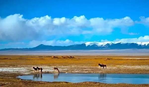 國際火車_火車國際運輸_火車國際音標