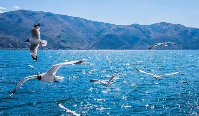 國際火車_火車國際運輸_火車國際音標