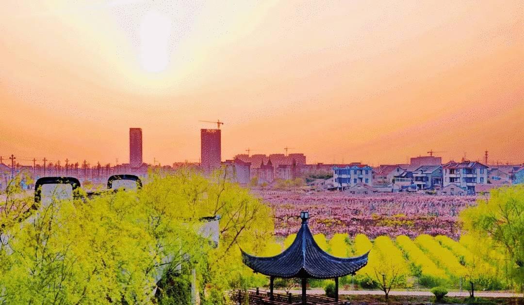 涌口村:堅(jiān)持發(fā)展為中心,打造和諧社會(huì),榮獲多項(xiàng)光榮稱(chēng)號(hào)