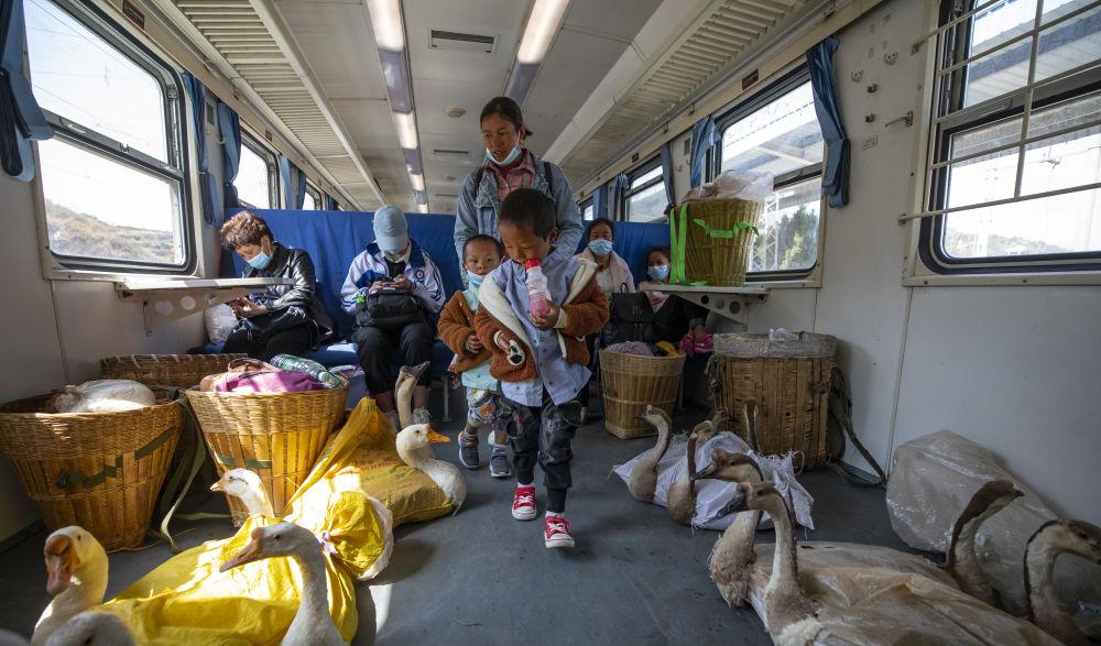 火車發展歷程_火車發展_火車發展史四個階段
