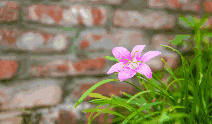 閬中到重慶自駕游_重慶到閬中旅游_重慶自駕閬中沿途景點
