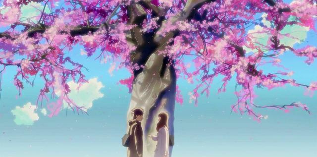 無錫旅游攻略:櫻花飄落的速度與太湖蠡湖的美景,靈山勝境的心靈之旅