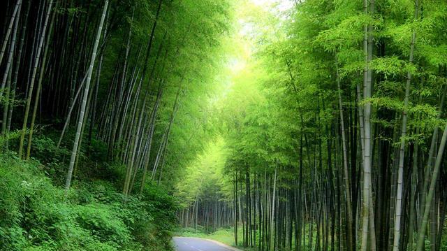 唐城自駕游_唐城旅游攻略_唐城自駕游攻略