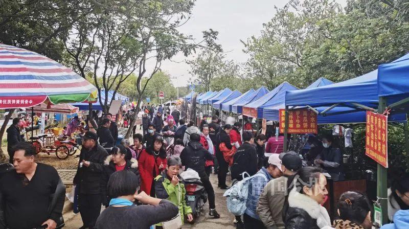 環江旅行_環江旅游區_環江旅游