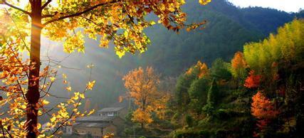 蛇蟠島旅游攻略_蛇蟠島海邊_去蛇蟠島住哪里