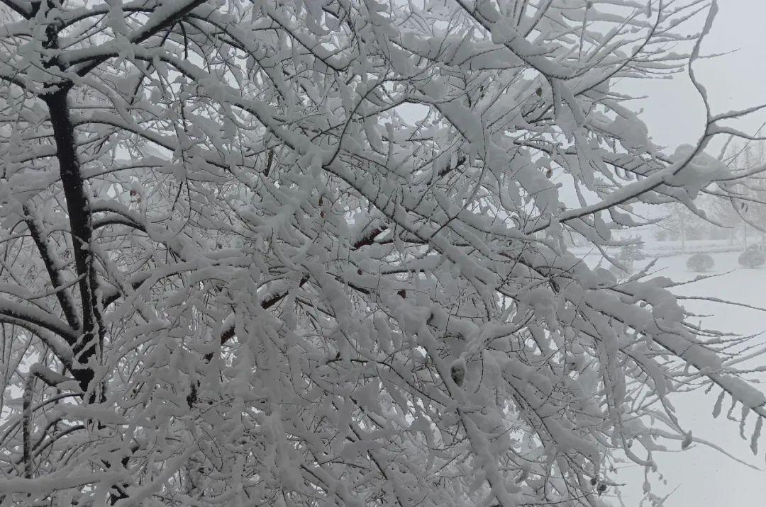 濟南濟寧火車_濟南到濟寧的火車停運了嗎_濟南濟寧火車時刻表