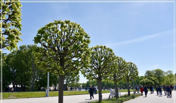 北京到西伯利亞火車_坐火車到西伯利亞_北京到西伯利亞火車票多少錢