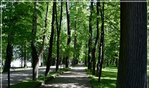 坐火車到西伯利亞_北京到西伯利亞火車票多少錢_北京到西伯利亞火車