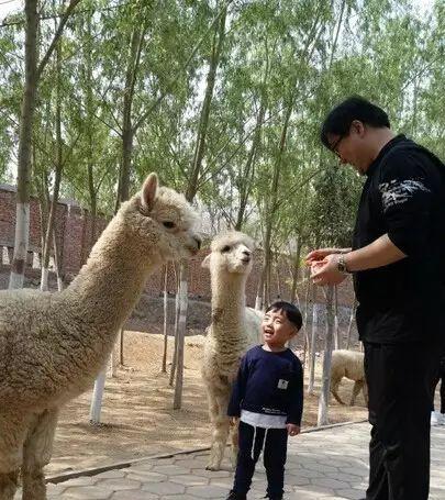 景點鄭州旅游距離近的有哪些_距離鄭州近的旅游景點_景點鄭州旅游距離近怎么辦