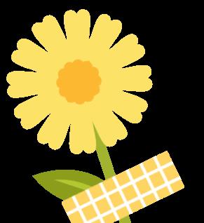 桂林到合肥的火車_桂林至合肥火車時刻表_合肥到桂林火車票價