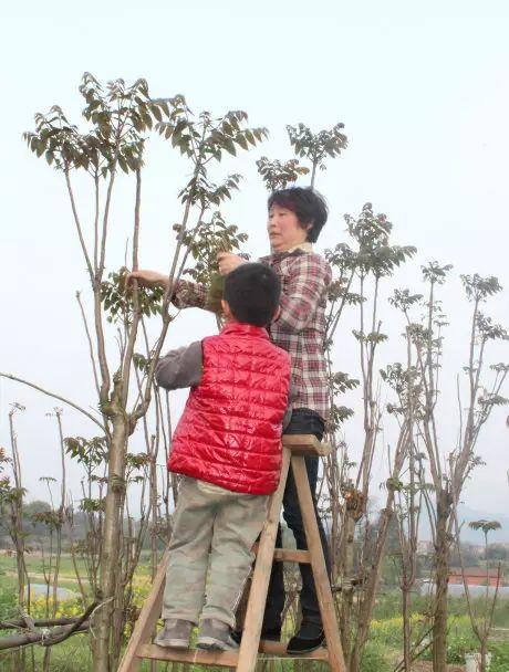 威海至滕州火車時刻表_威海到滕州火車票_威海到滕州的火車