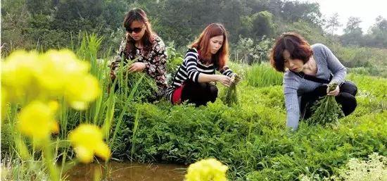 威海到滕州火車票_威海到滕州的火車_威海至滕州火車時刻表
