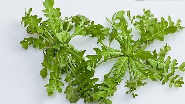 威海至滕州火車時刻表_威海到滕州火車票_威海到滕州的火車