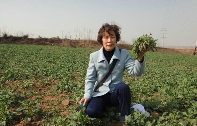 威海到滕州的火車_威海到滕州火車票_威海至滕州火車時刻表