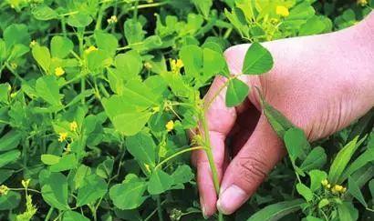 威海到滕州火車票_威海到滕州的火車_威海至滕州火車時刻表