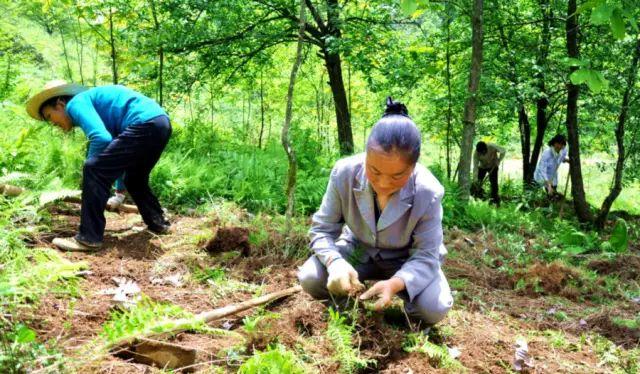 威海到滕州火車票_威海到滕州的火車_威海至滕州火車時刻表