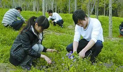 威海到滕州的火車_威海到滕州火車票_威海至滕州火車時刻表
