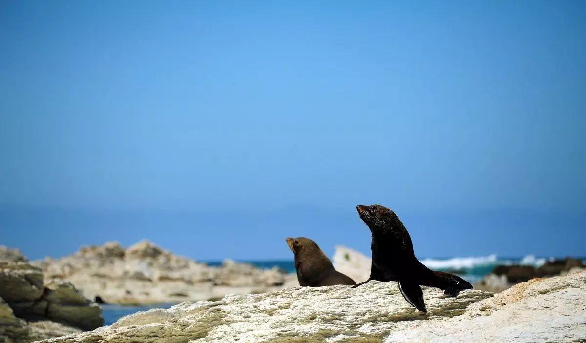 圣何塞自駕游_圣何塞旅游攻略_圣何塞景點