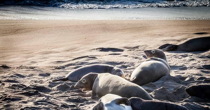 圣何塞景點_圣何塞旅游攻略_圣何塞自駕游