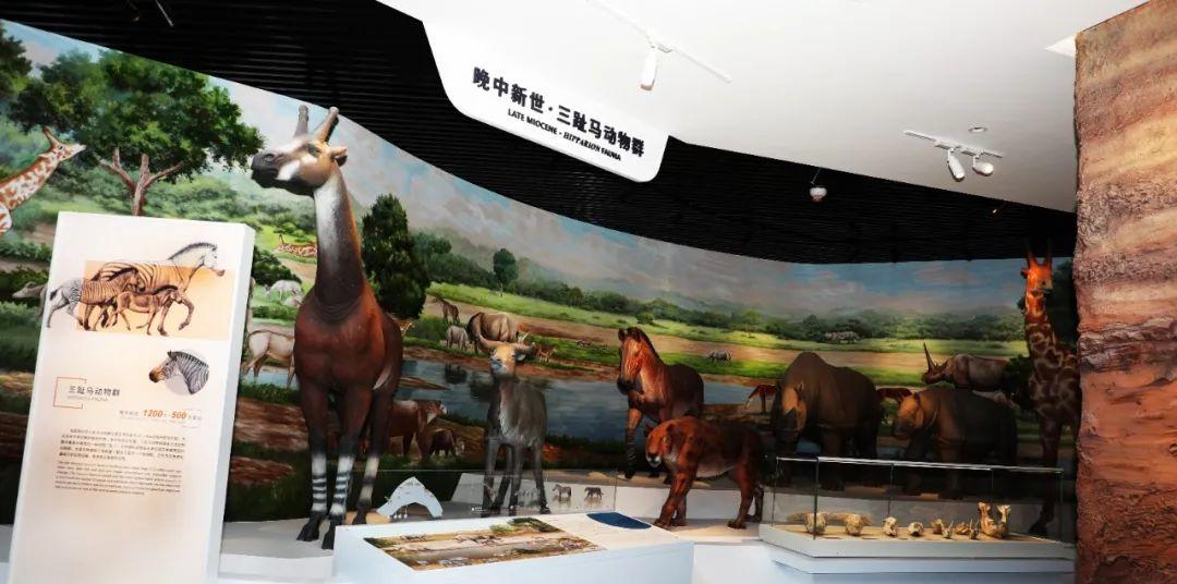 臨夏市旅游景區_臨夏旅游宣傳片_臨夏市旅游