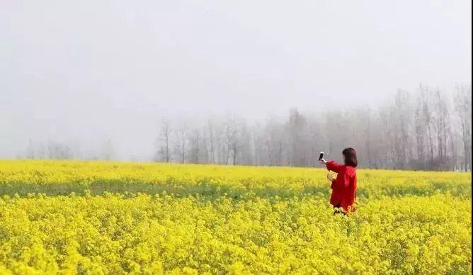 揚州到商丘路過哪些城市_揚州自駕商丘游到上海路線_商丘到揚州自駕游