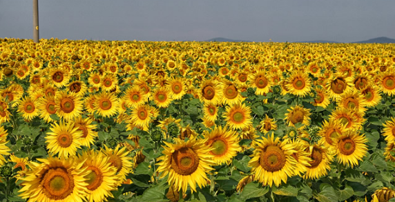 好玩景點旅游攻略_最好玩的旅游景點_好玩景點旅游有哪些