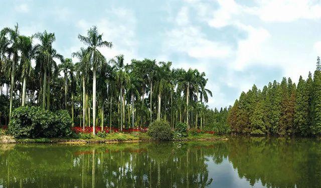 好玩景點旅游有哪些_好玩景點旅游攻略_最好玩的旅游景點
