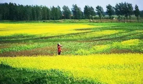 鞍山自駕游景點_鞍山自駕游攻略_鞍山自駕一日游