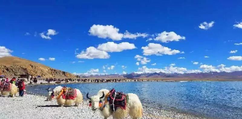 蘭州出發自駕游路線_蘭州自駕_蘭州自駕出發路線游玩攻略