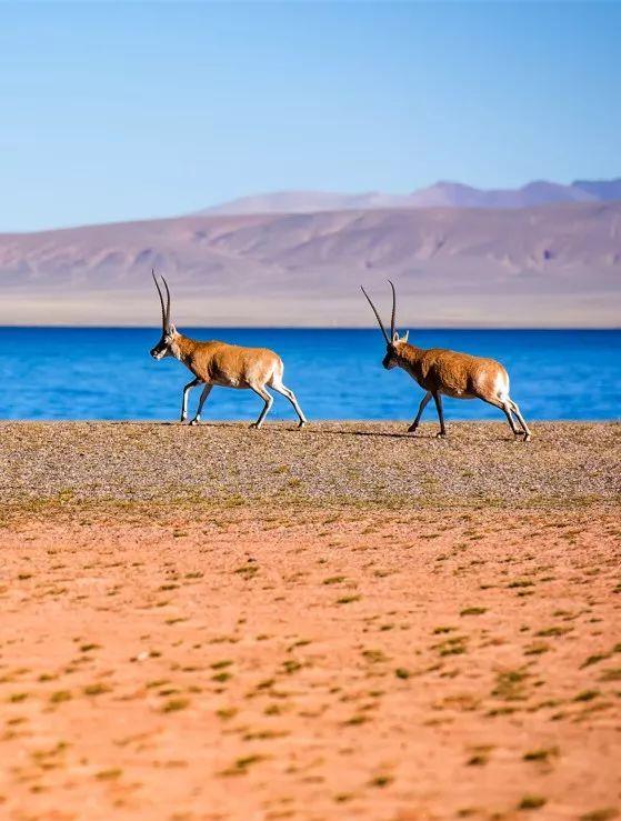 蘭州自駕出發路線游玩攻略_蘭州自駕_蘭州出發自駕游路線