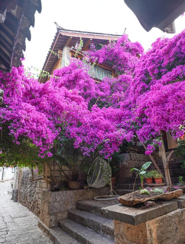 麗江：受上天寵愛之地，古城韻味與玉龍雪山的壯麗