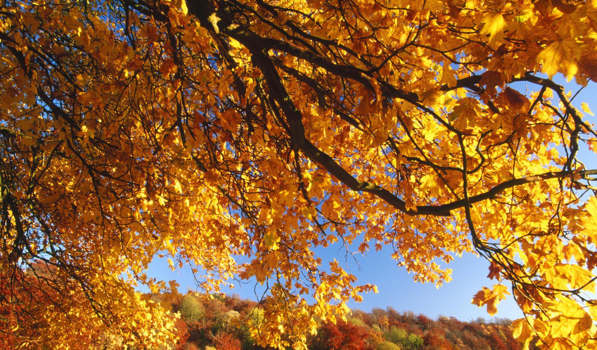 泰安到杭州火車多長時間_泰安到杭州火車時刻表_泰安到杭州的火車