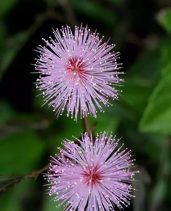 金山旅游_金山旅游團報名官網_金山旅游攻略