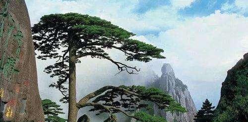 黃山離淮北多遠_淮北到黃山自駕游_黃山自駕淮北游到哪里玩