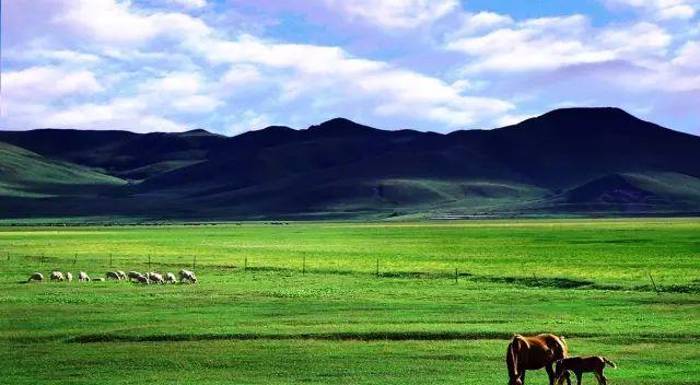 行者旅游紀錄片_行者旅游_行者旅游節目