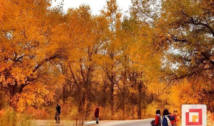 拼車自駕游群_自駕拼車吧_旅游自駕拼車貼吧