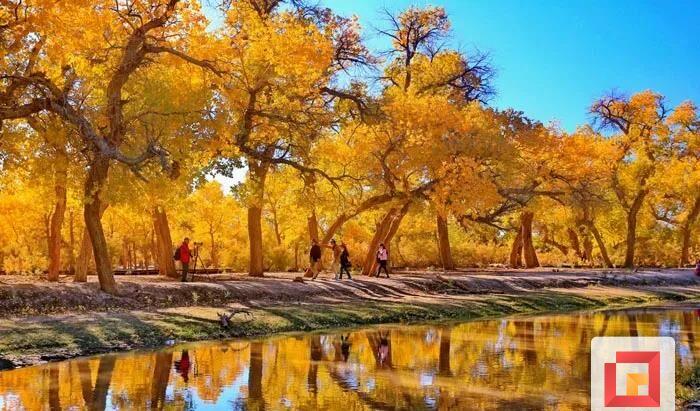 旅游自駕拼車貼吧_拼車自駕游群_自駕拼車吧