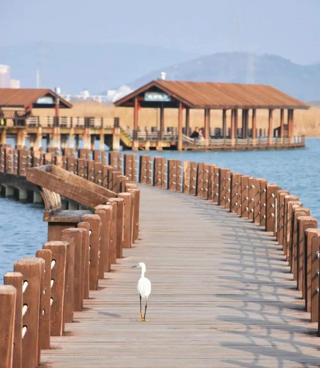 自駕連云港線路游泳多少錢_自駕連云港旅游攻略_連云港自駕游線路