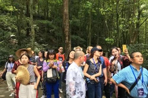 溫州到南京自駕游路線_溫州到南京自駕游_自駕溫州南京游到哪里合適